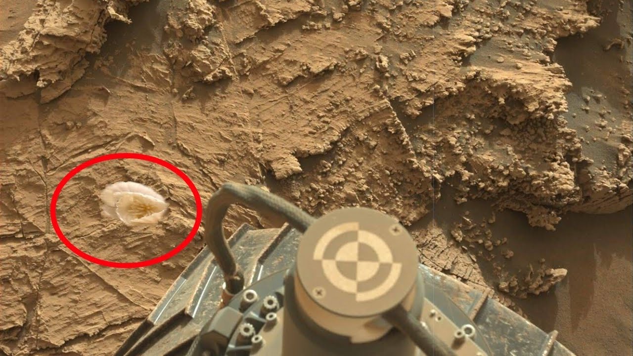 NASA's Newly Released Images Of MARS! Perseverance Rover Capture ...
