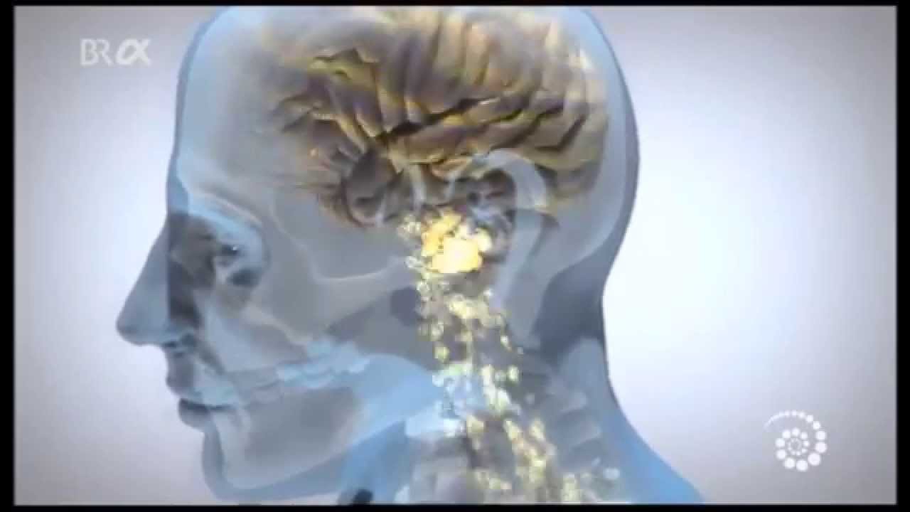 Kältetherapie zur Gewichtsreduktion Kältetherapie zur Gewichtsreduktion