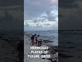PLAYAS DE TULUM, QROO.