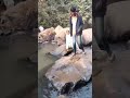 Mun to suna chadheyi