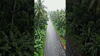 The rain #ai #naturelovers #naturetherapy #kerala #monsoon #green #love #rain #rainsounds #always
