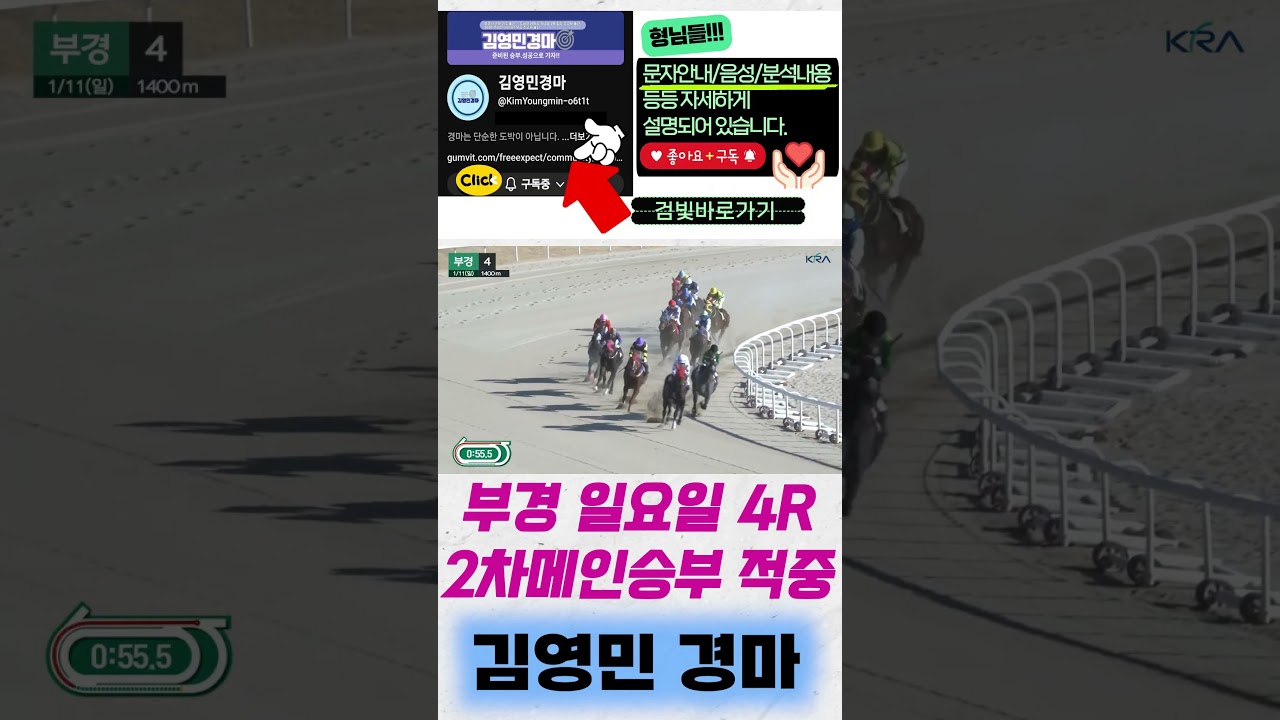김영민경마 부산일요4R '11블랙트리' 2차메인승부 적중 !#shorts
