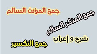 شرح مفصل لجمع المذكر و المؤنث السالم و جمع التكسير مع الإعراب