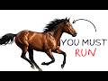 Your Life at Every Level as a Wild Horse