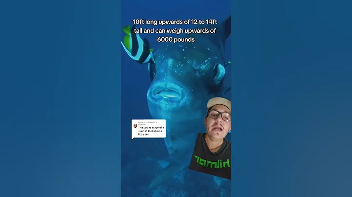 The Mola Mola goes through a massive size change