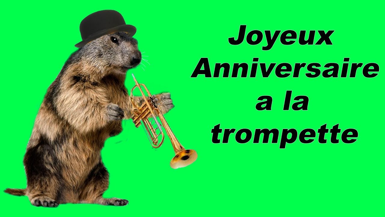 Joyeux Anniversaire A La Trompette Joue Par Une Marmotte Youtube