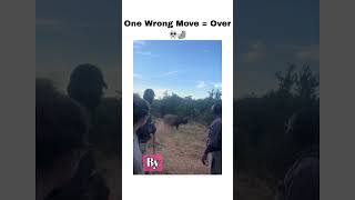 Heart-Stopping Rhino Encounter 🦏 #viral #shorts #animals #wildlife #amazing
