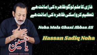 Gazi Ka Alam Logo Bakshish Ki Zamanat Ha Tazeem Kro Ic Ki Zahra Ki Amanat Ha | Noha | Hassan Sadiq screenshot 5