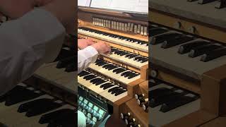 Grand orgue, cathédrale Notre-Dame de Verdun #orgue