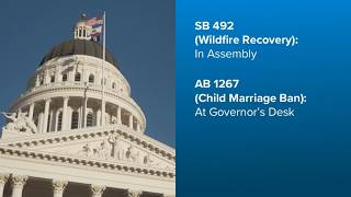 California lawmakers face final deadline as key bills reach crucial stages