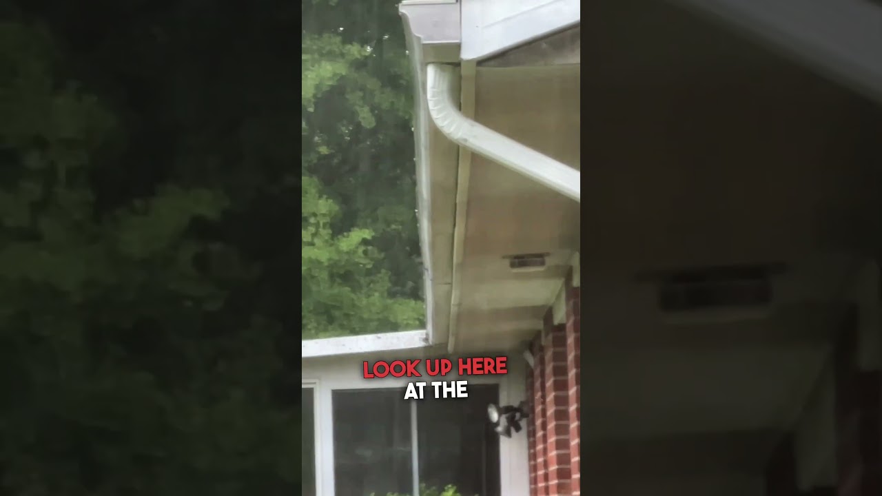 Gutter Problems Cause Damage 