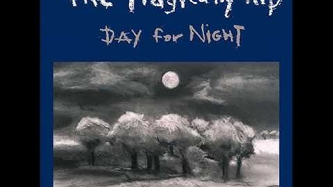 The Tragically Hip - Inevitability Of Death