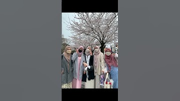 Thumbnail of #hamamatsu #japan #shizuoka #life #gifu #students #shorts #sakura #cherryblossom