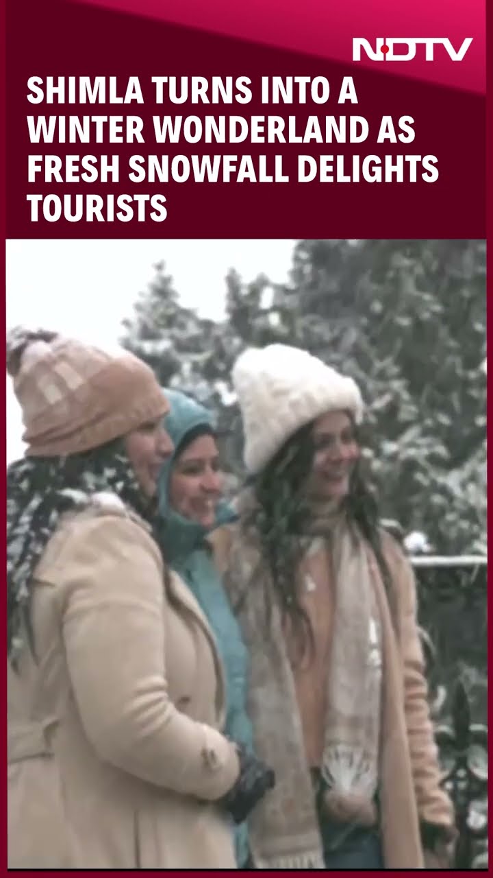 Shimla Turns Into a Winter Wonderland As Fresh Snowfall Delights Tourists