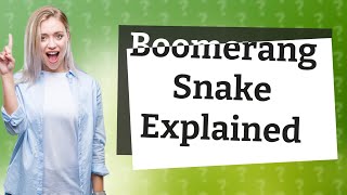 What is a boomerang snake?