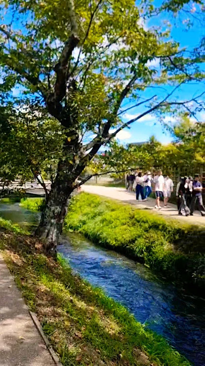 Exploring Oshino Hakkai: Eight Ponds and Views of Mt. Fuji