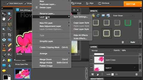 Photoshop Elements 9.0 Tutorial Layer Styles Adobe Training Lesson 10.9
