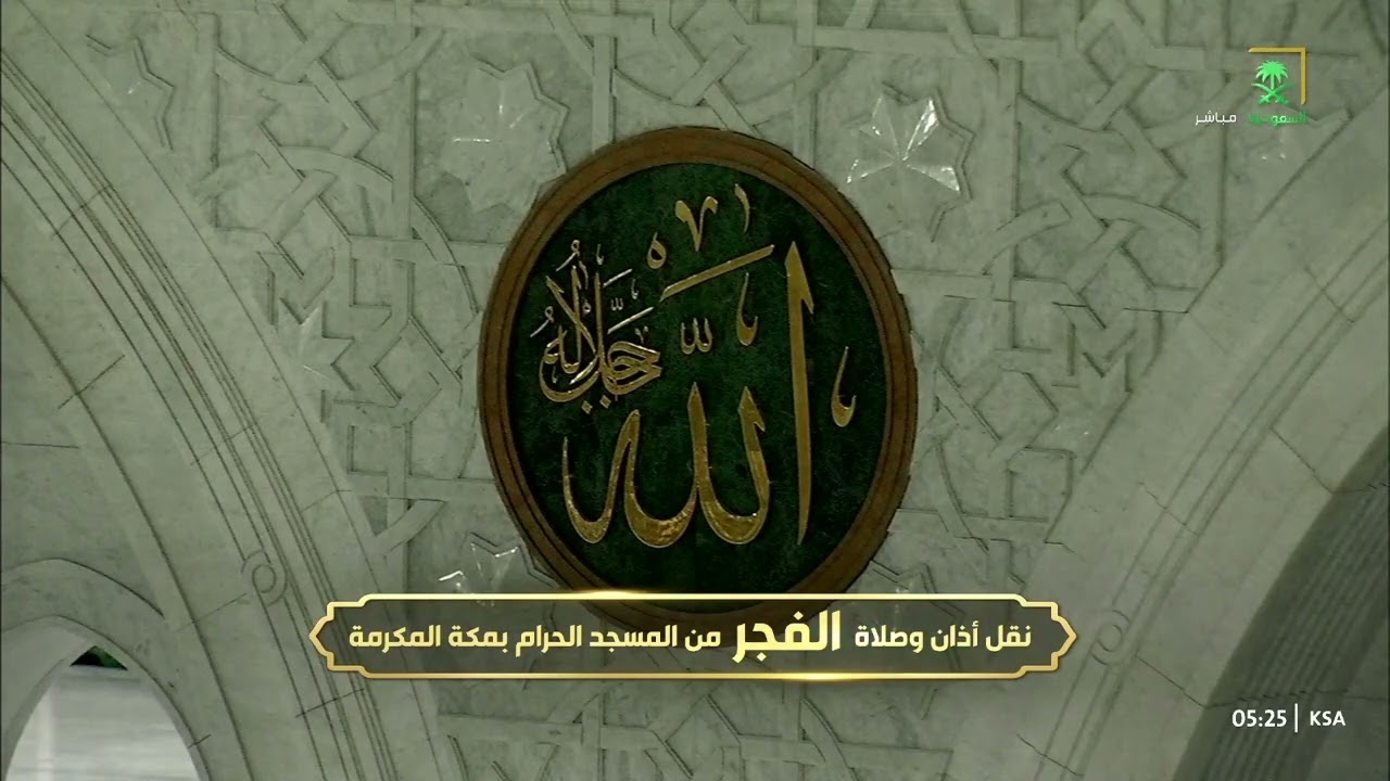 تلاوة بديعة لسورة الملك كاملة للشيخ بدر التركي | فجر الأحد 24 ربيع الآخر 1446هـ
