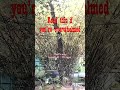 When Everything Goes Wrong (Watch This)