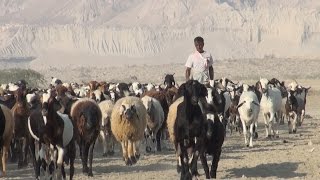 Rural Iran - Shots from the Countryside