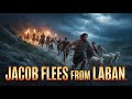 Genesis 31 Jacob Flees From Laban 