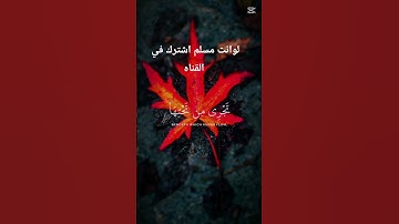 قرآن كريم راحه نفسيه بصوت الشيخ عبد الرحمن مسعد #المصحف #لايك #اكسبلور