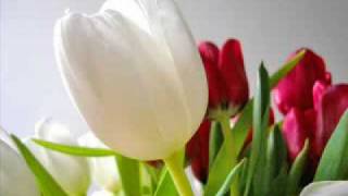 Thetranspotermanaccount - - - Sinan Özen - İsyanım Var.flv Resimi