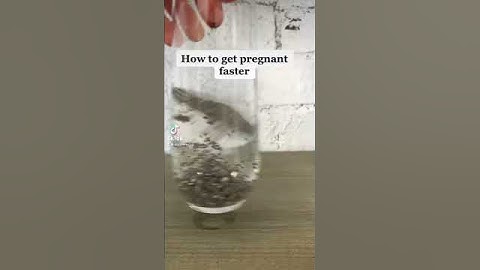 How to get PREGNANT FAST