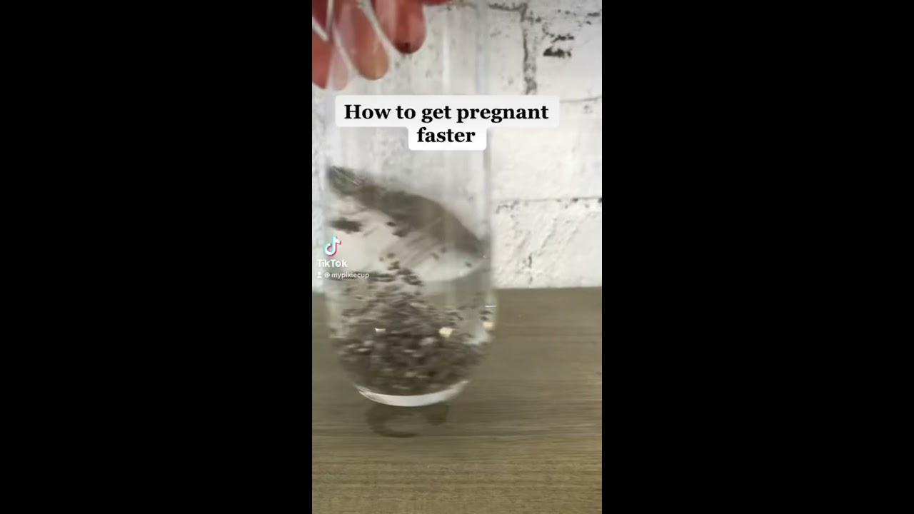 How To Get PREGNANT FAST