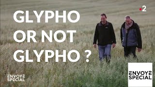 Envoyé spécial. Glypho or not glypho ? - 17 janvier 2Z019 (France 2)