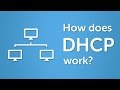 Dhcp explained  step by step