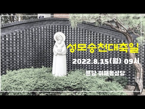 영상썸네일