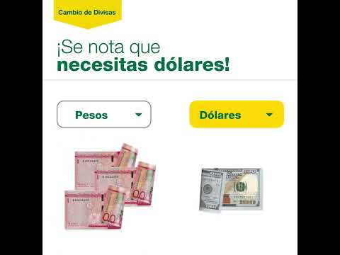 Te entendemos en dólares y en pesos - Cambio de Divisas