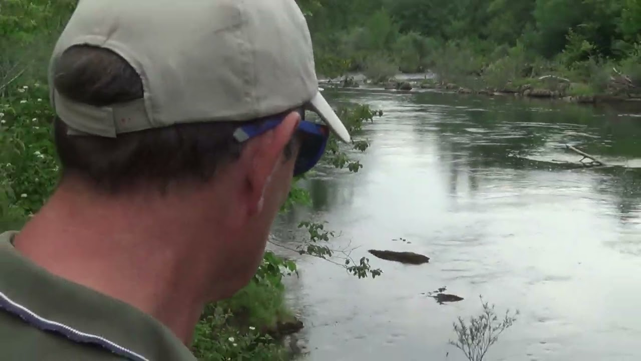 Pescando en el Coto El Brezo en el Río Sella en Asturias Paraíso Natural