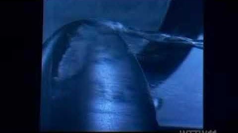 Vortex-Bubble Cavitation