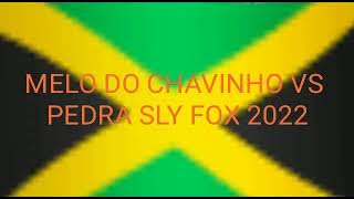 CHAVINHO SLY FOX 2022 PEDRA