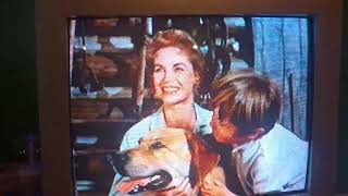 Opening To Jungle 2 Jungle Vhs