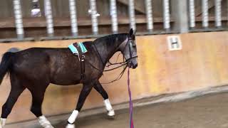 trim 18517E94 B27A 470C 929B 8B411150F154