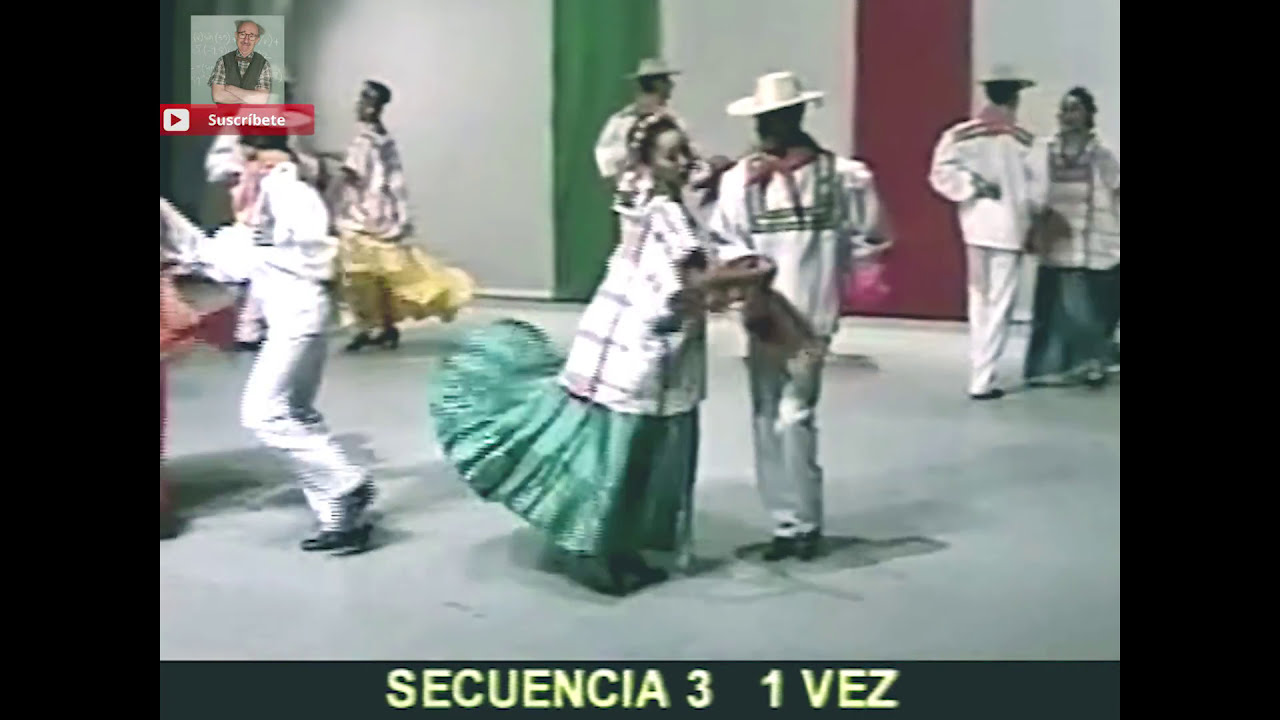 El Alingo lingo (con pasos básicos) Baile folcklorico del estado de Guerrero, México.