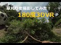 草刈りを撮影してみた！　180度3DVR.　I took a video of mowing the grass! 　180 degree 3DVR.