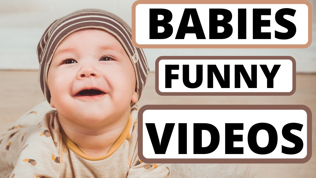 Babies and Animals Funny Videos YouTube