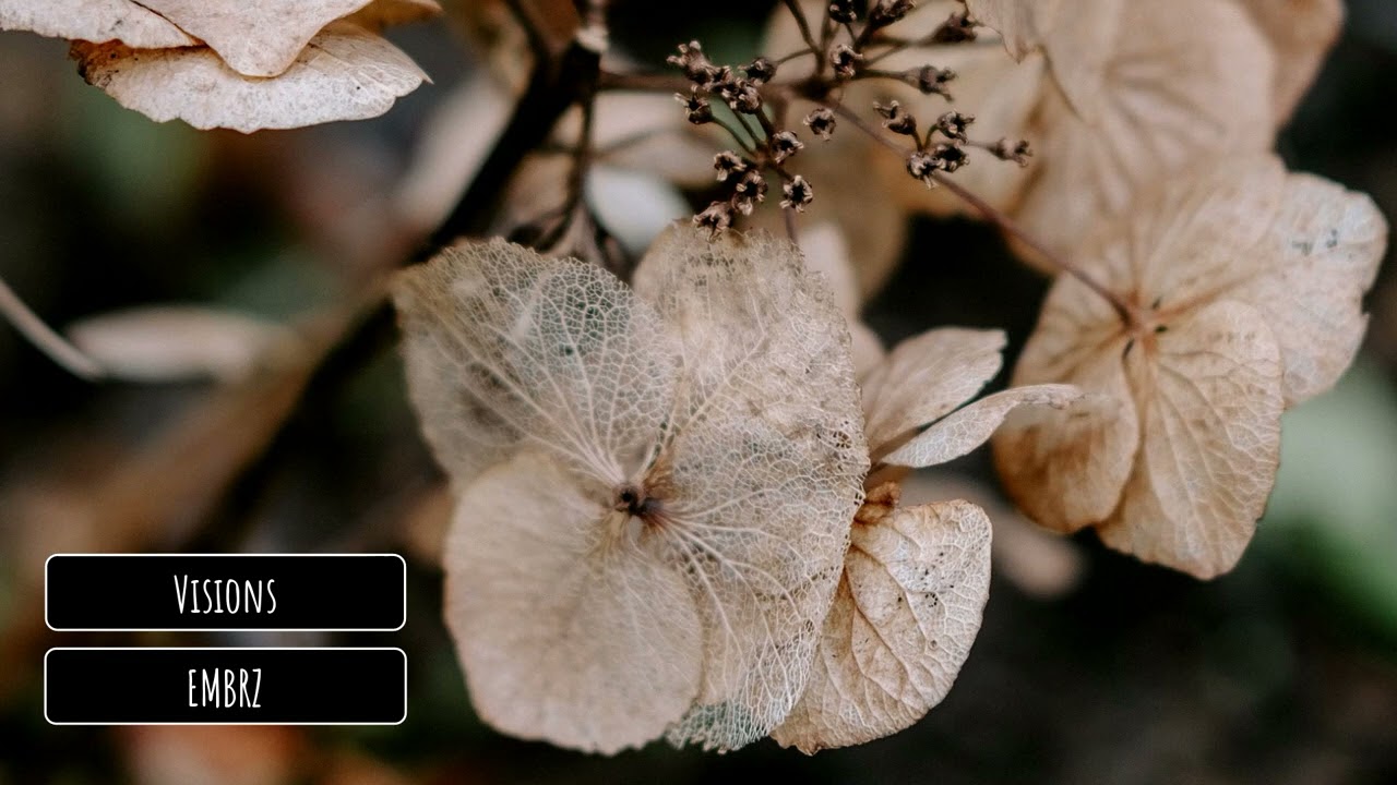 EMBRZ - Visions