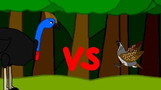 Cassowary vs Quail 