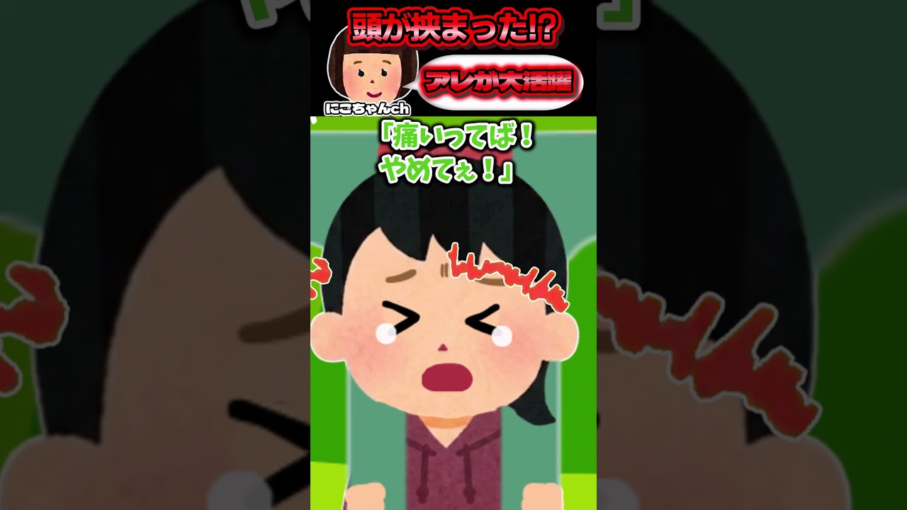 公園で遊んでたら娘の頭がアスレチックの柵に挟まった!?