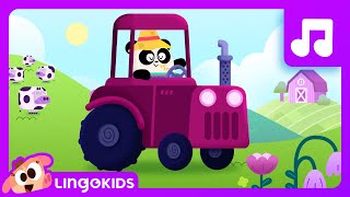 OLD MACDONALD HAD A FARM 👨‍🌾 Disco Version 🪩 Songs for kids | Lingokids