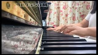 ENHYPEN -Blossom (PIANO cover)