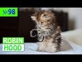 ПРИКОЛЫ 2017 с животными. Смешные Коты, Собаки, Попугаи // Funny Dogs Cats Compilation. Май №98