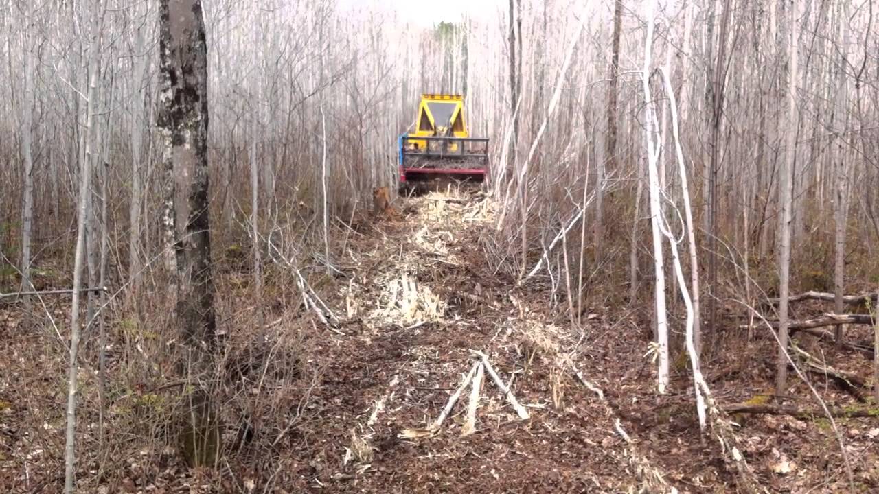 Wisconsin Hunting Property for Sale Trail Cutting 2 YouTube