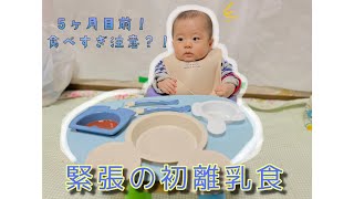 はじめての離乳食《成長日記》