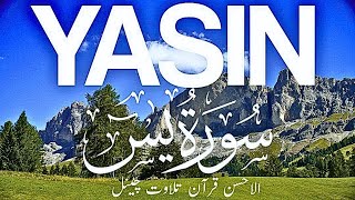 Surah Yasin(Yaseen)Full |Beautiful Recitation of Surah Yasin|سورة يس| Al-Ahsan Quran Tilawat |EP-129